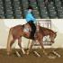 Mid-South Quarter Horse Turkey Circuit